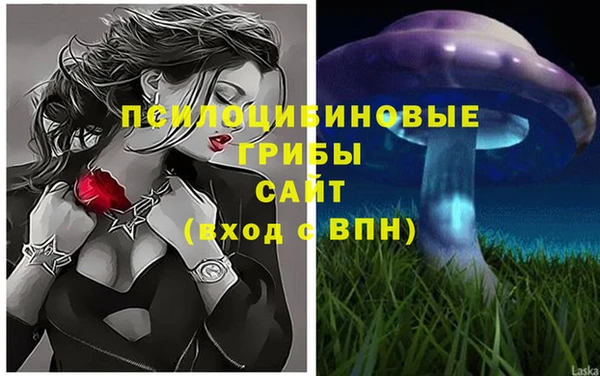 шишки Богданович